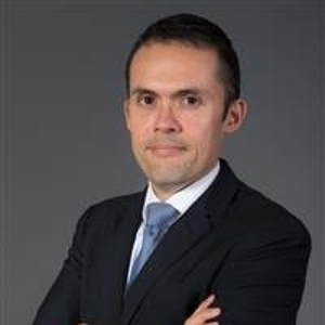 Martin Richter (Partner, International Tax Services - Transfer Pricing at EY)